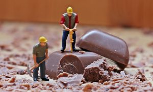 「岡山市で転職」ホワイトカラー（白襟）からブルーカラー（肉体労働）に変わったから体調が良くなった